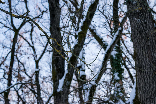 Imagem Teste Galeria