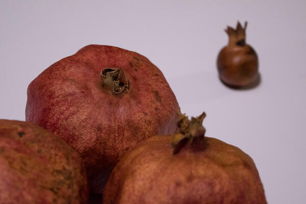 Imagem Teste Galeria